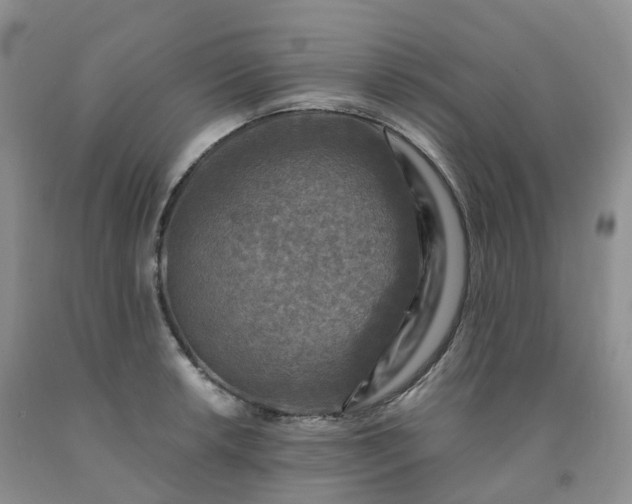 X0000092001042200709201505