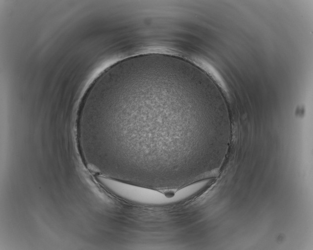 X0000092001043200709201505