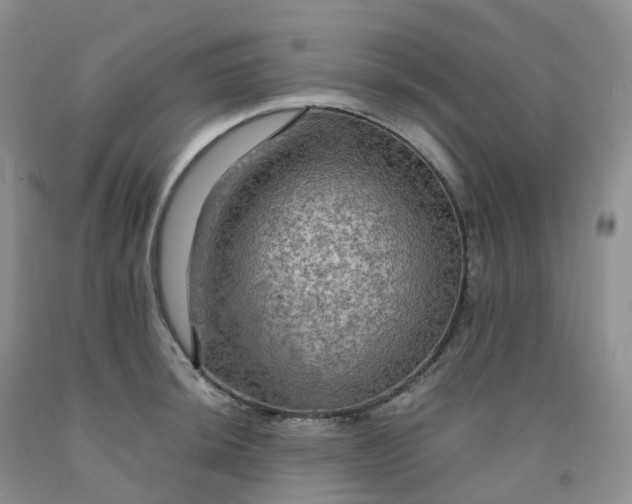 X0000092001044200709201505