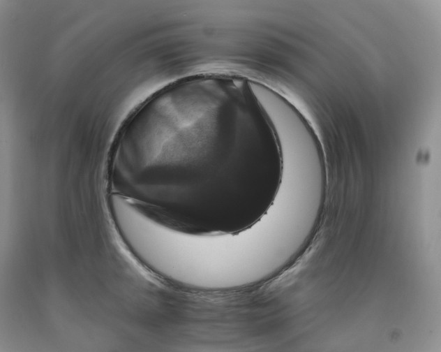 X0000092001045200709201505