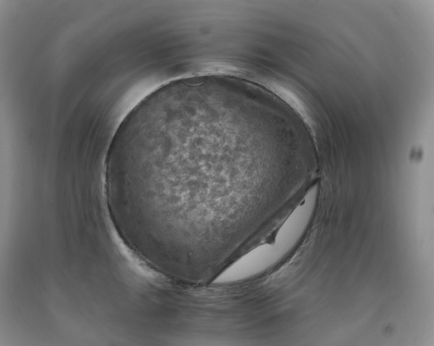 X0000092001047200709201505