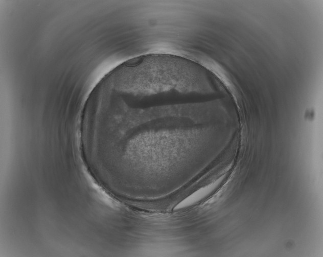 X0000092001048200709201505