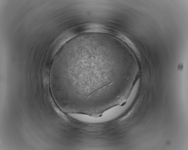 X0000092001049200709201505