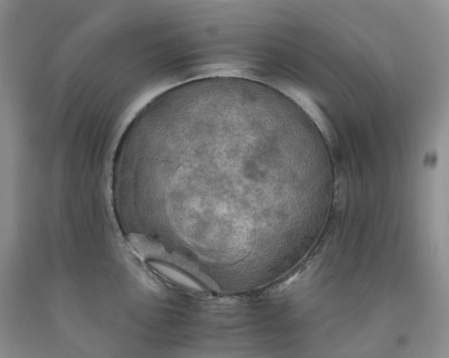 X0000092001051200709201505