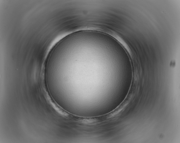 X0000092001053200709201505