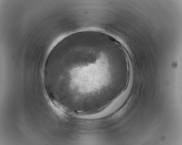 X0000092001054200709201505