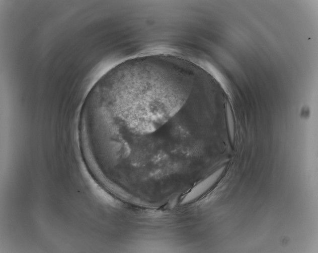 X0000092001055200709201505