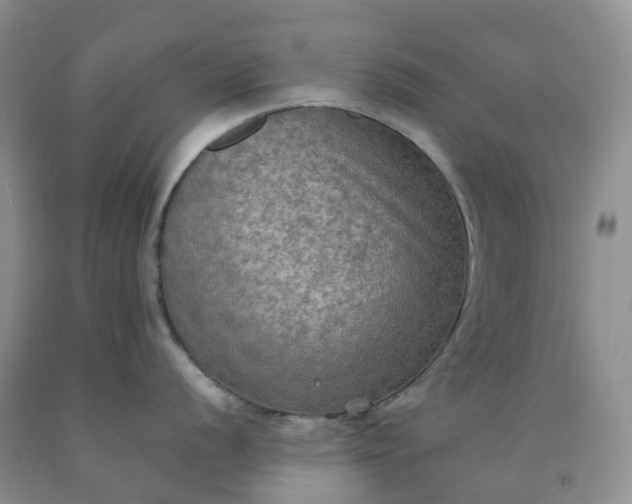 X0000092001056200709201505