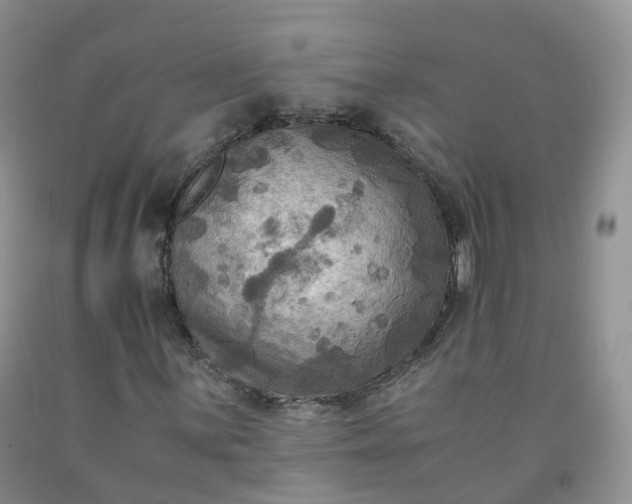 X0000092001059200709201504