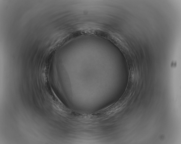 X0000092001060200709201504