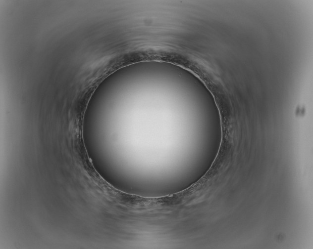 X0000092001061200709201504