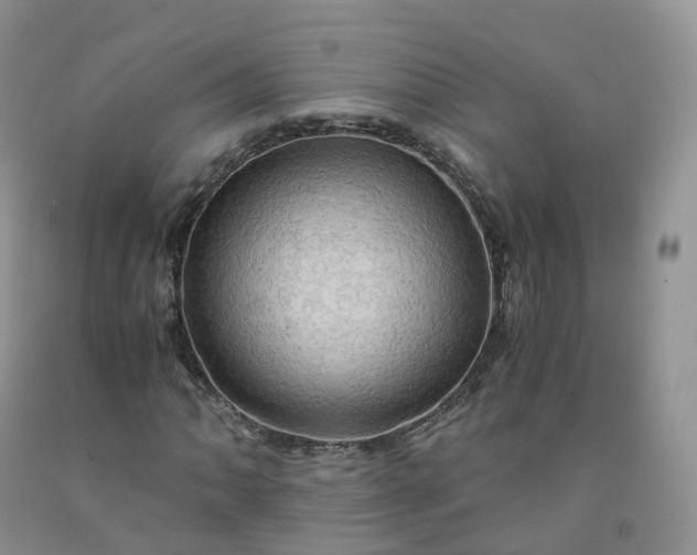 X0000092001062200709201504