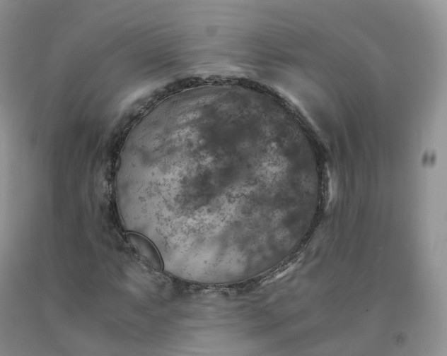 X0000092001063200709201504