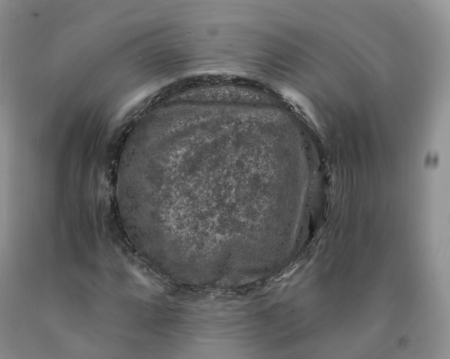 X0000092001064200709201504