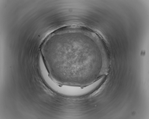 X0000092001065200709201504