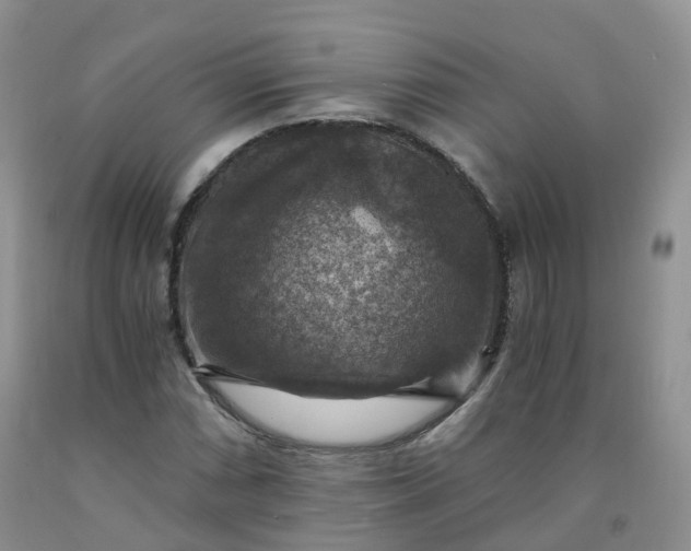 X0000092001066200709201504