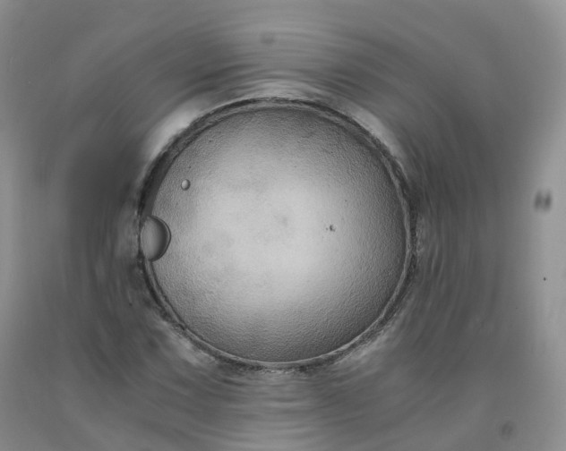 X0000092001067200709201504