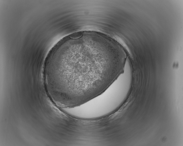 X0000092001068200709201504