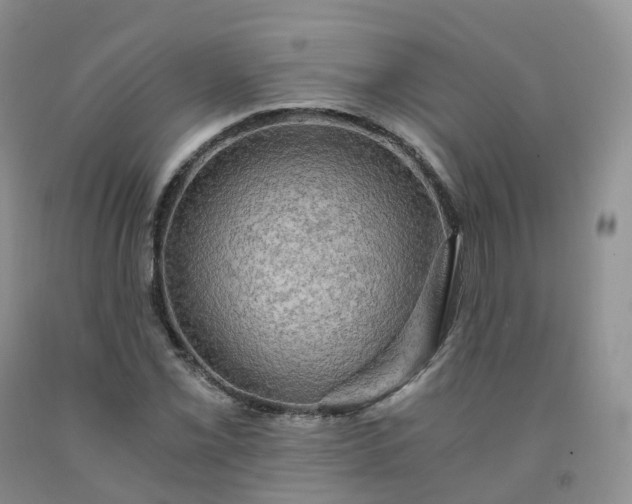 X0000092001069200709201504