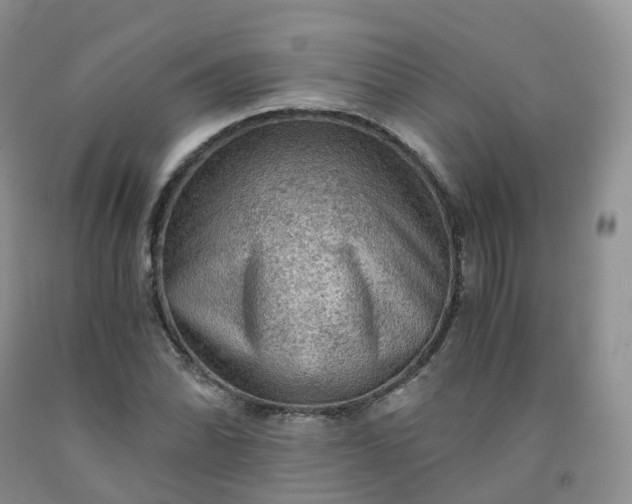 X0000092001070200709201504