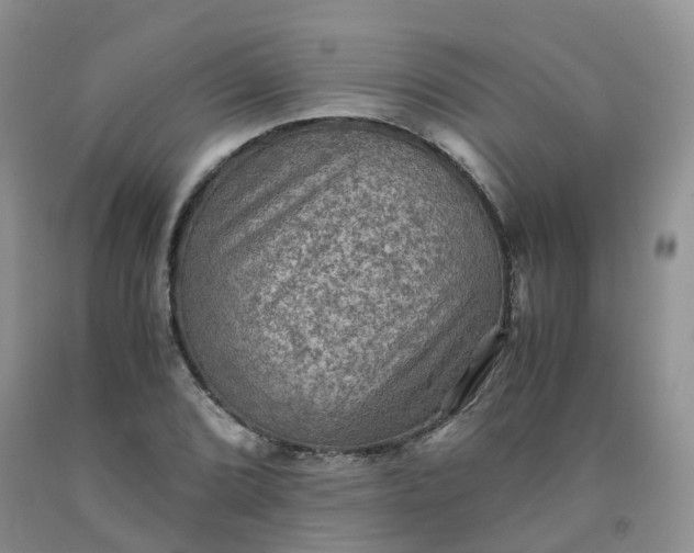 X0000092001072200709201504