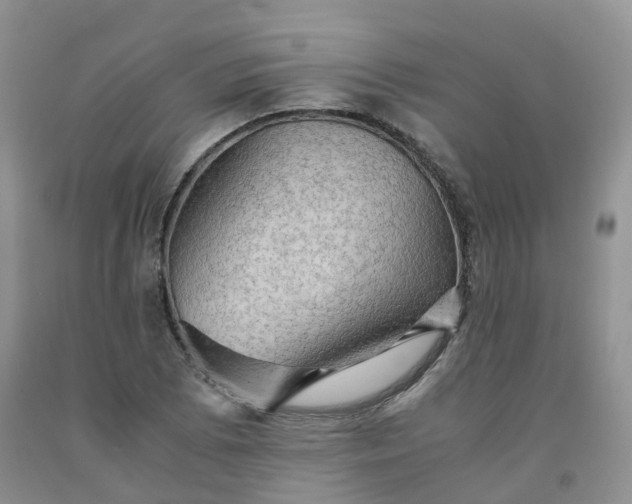 X0000092001073200709201504