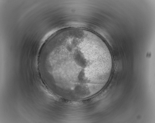 X0000092001074200709201504