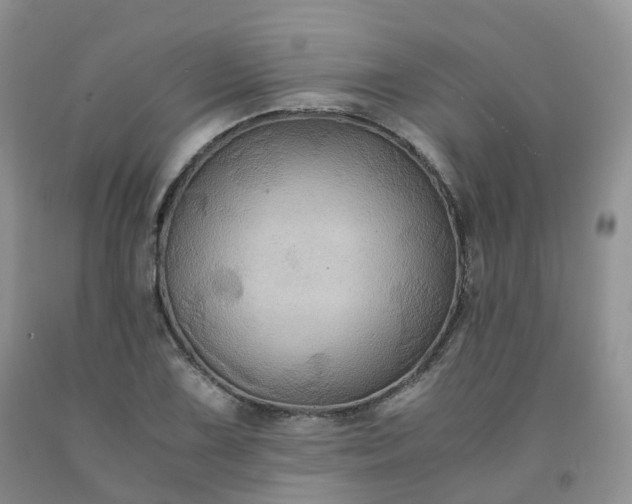 X0000092001075200709201504