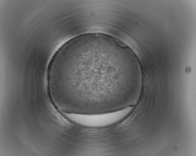 X0000092001076200709201504