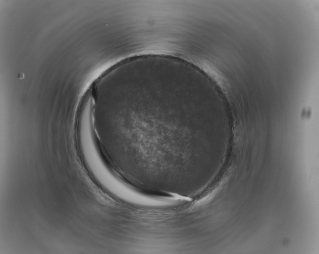 X0000092001077200709201504