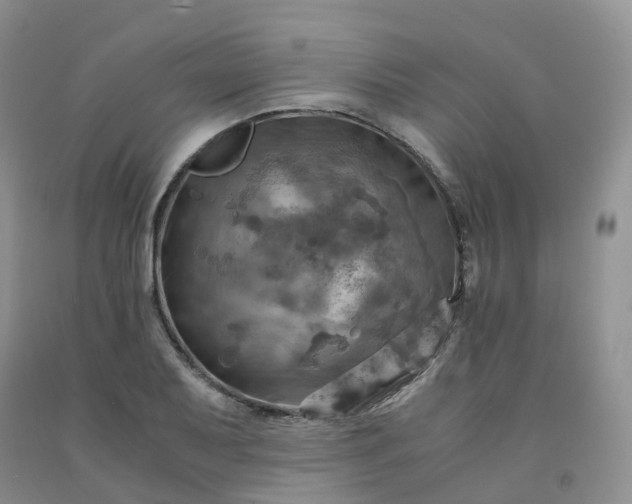 X0000092001079200709201504