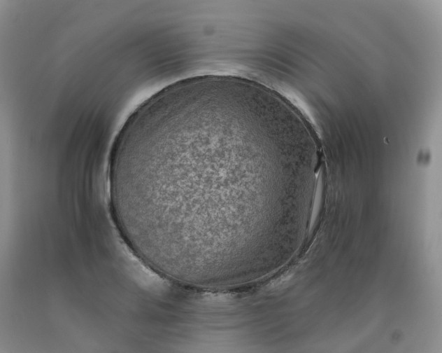 X0000092001080200709201504