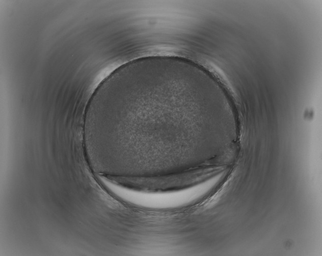 X0000092001081200709201504