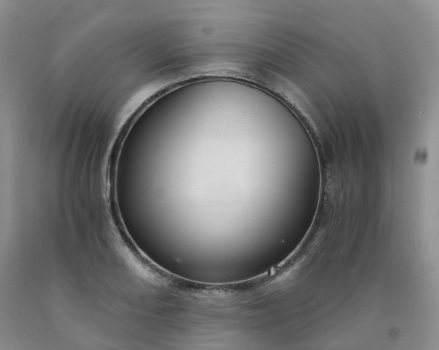 X0000092001082200709201504