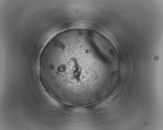 X0000092001083200709201504