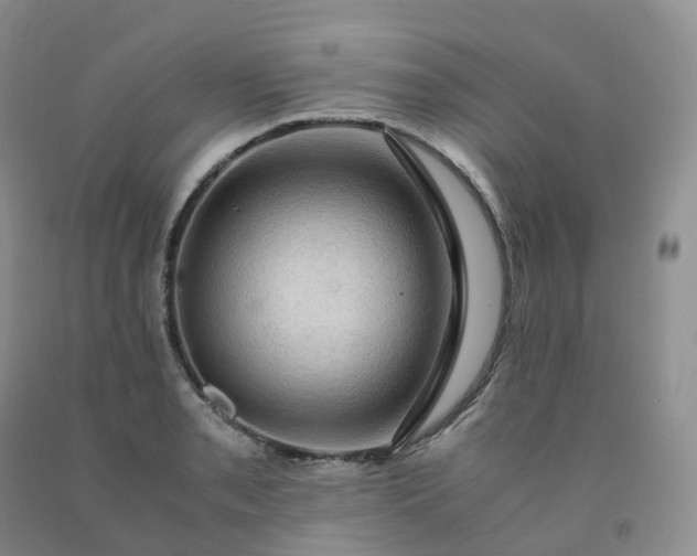 X0000092001085200709201504