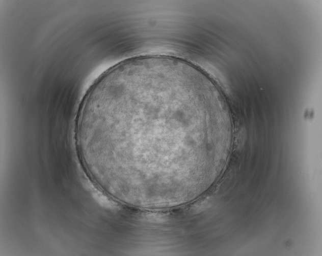 X0000092001086200709201504