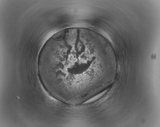 X0000092001087200709201504