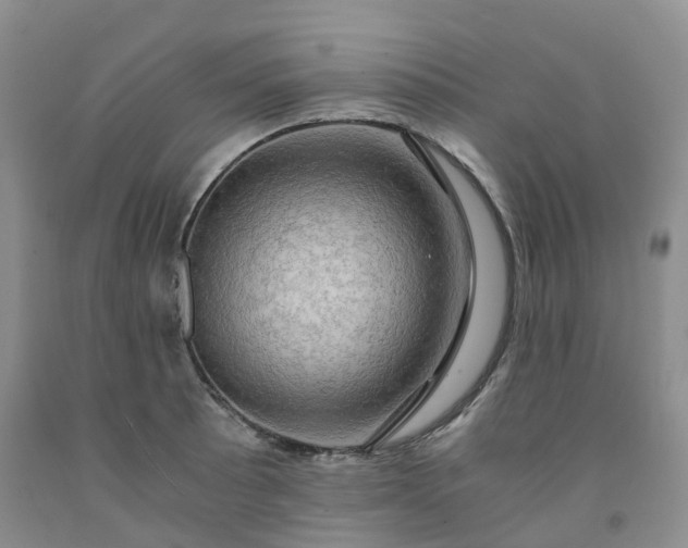 X0000092001089200709201504