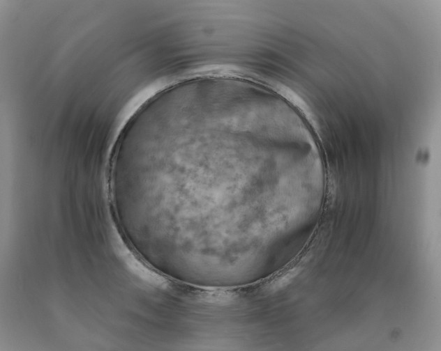 X0000092001090200709201504