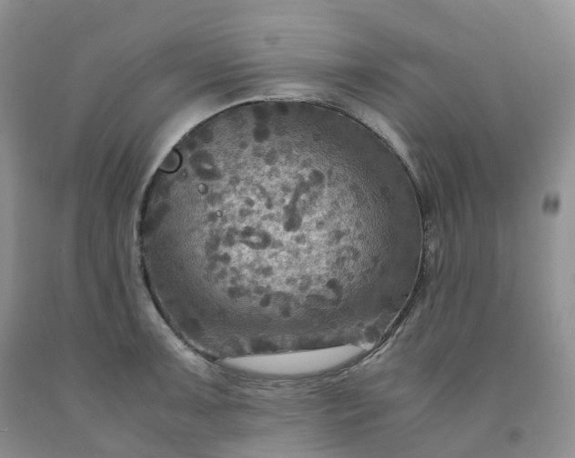 X0000092001091200709201504