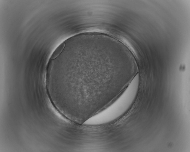 X0000092001092200709201504