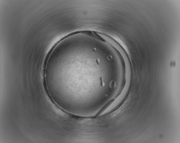 X0000092001093200709201504