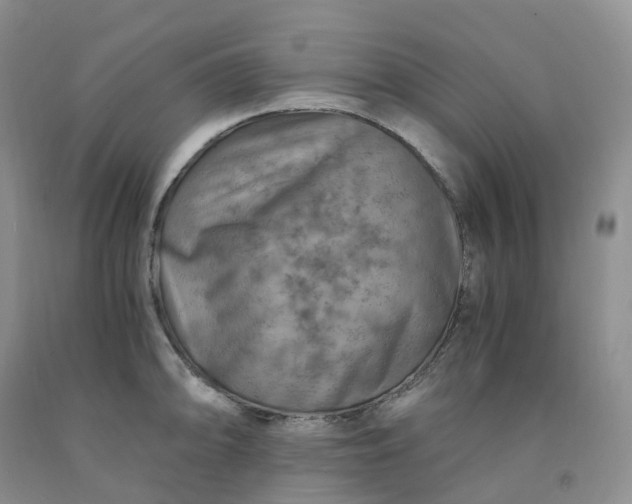 X0000092001094200709201504