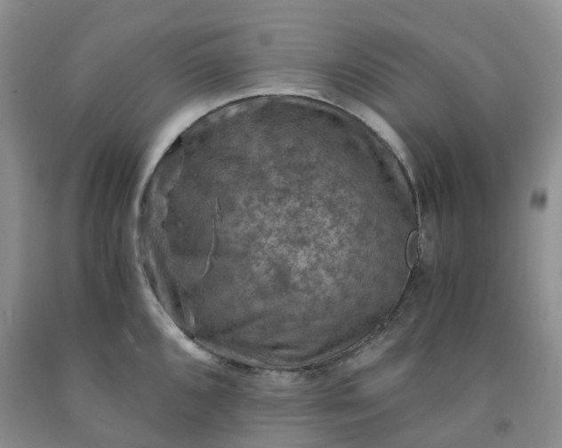 X0000092001096200709201504