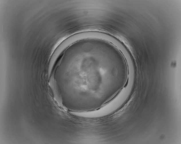 X0000092001097200709201504