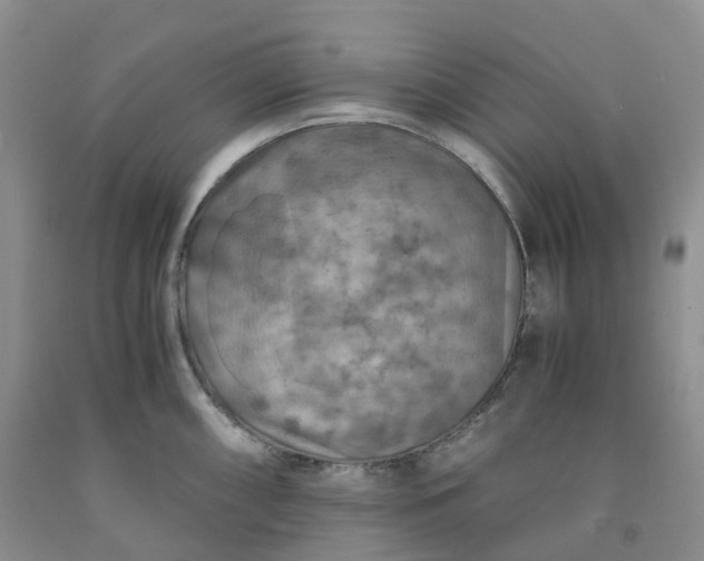 X0000092001098200709201504