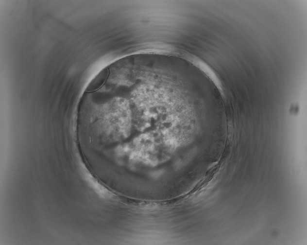 X0000092001099200709201504