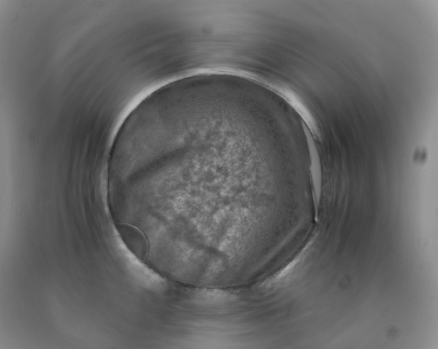 X0000092001100200709201504