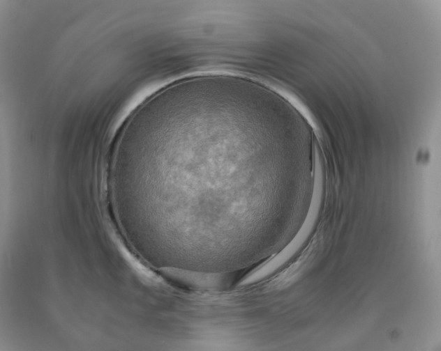 X0000092001101200709201504